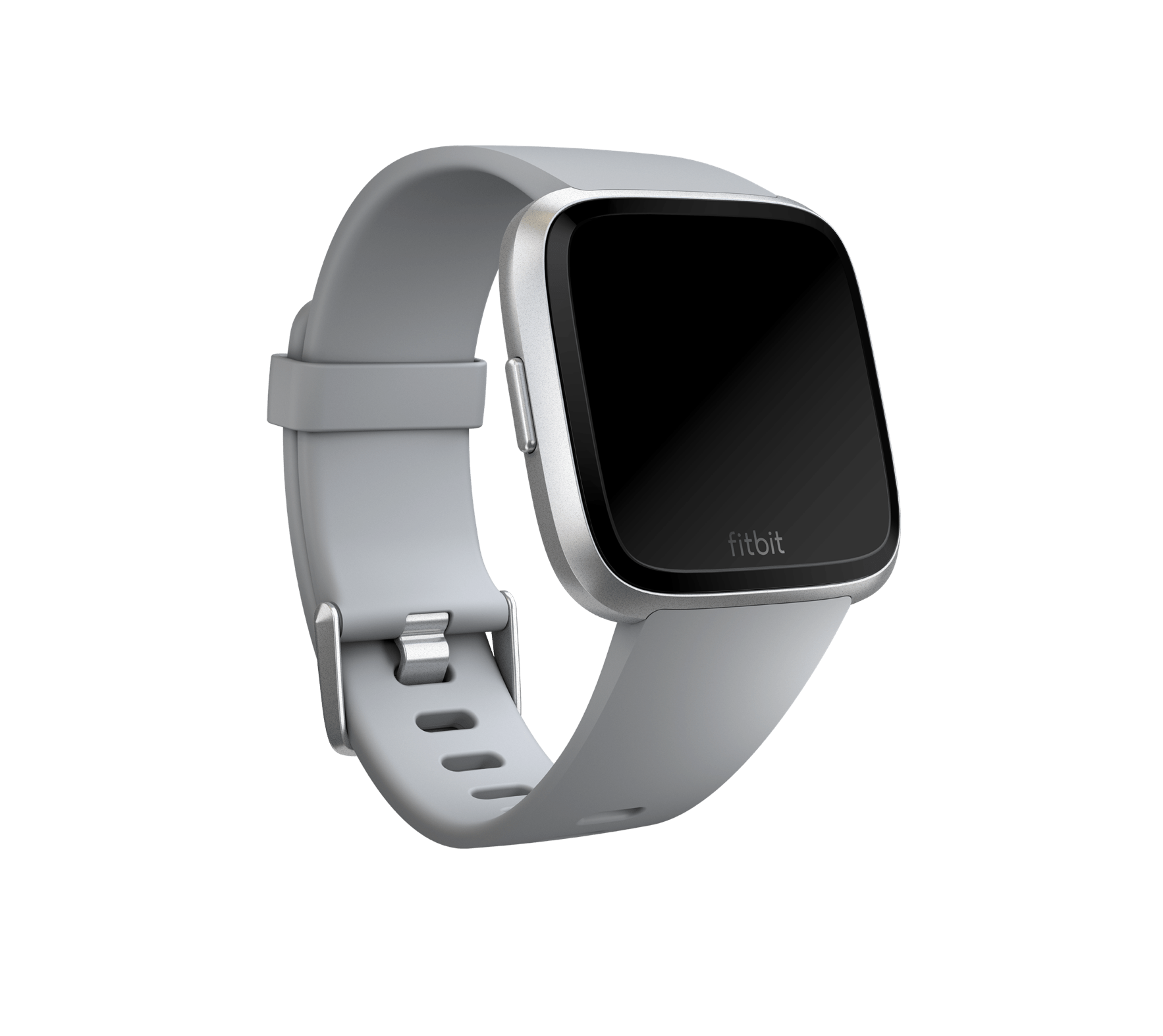 fitbit versa large bands
