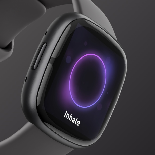 Tecnología Fitbit