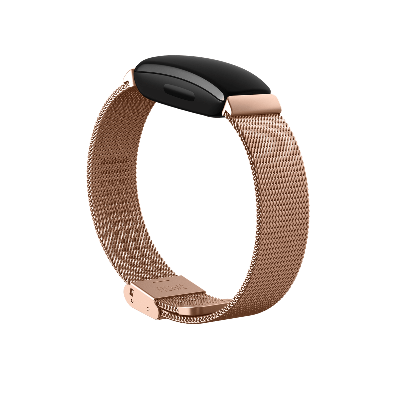 stainless steel fitbit