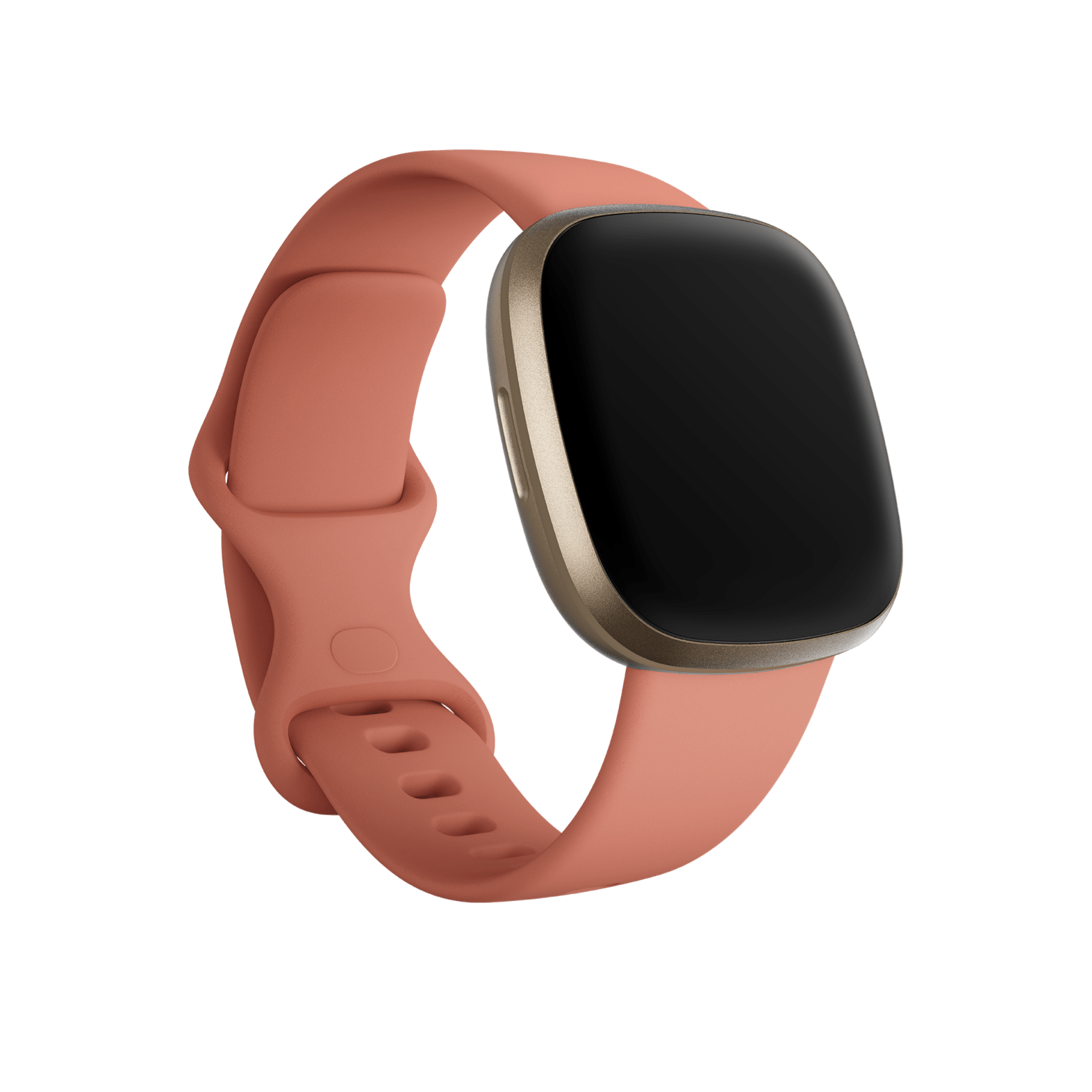 fitbit us store