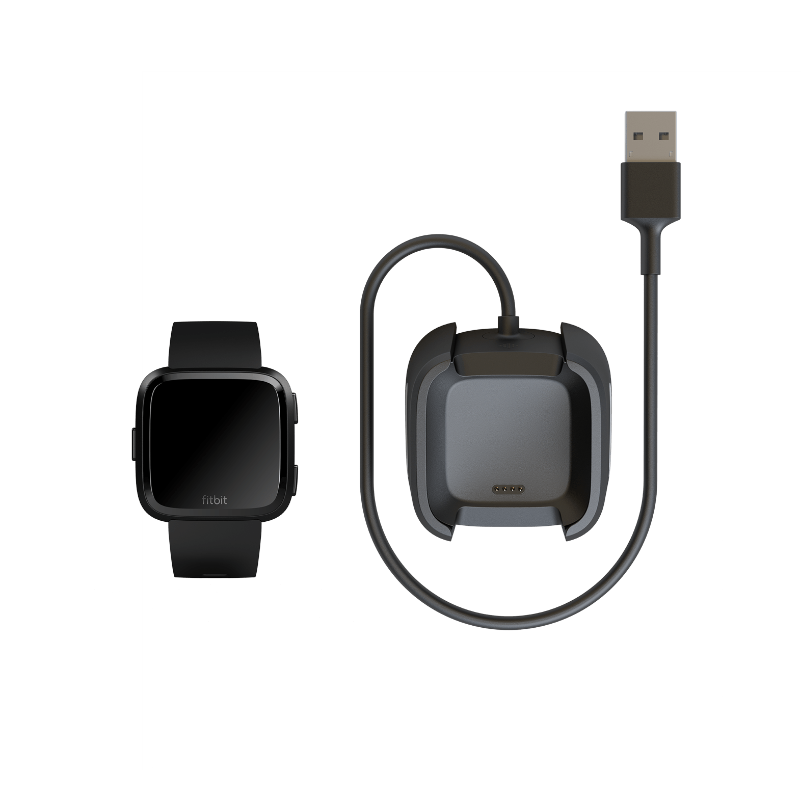 versa lite fitbit charger