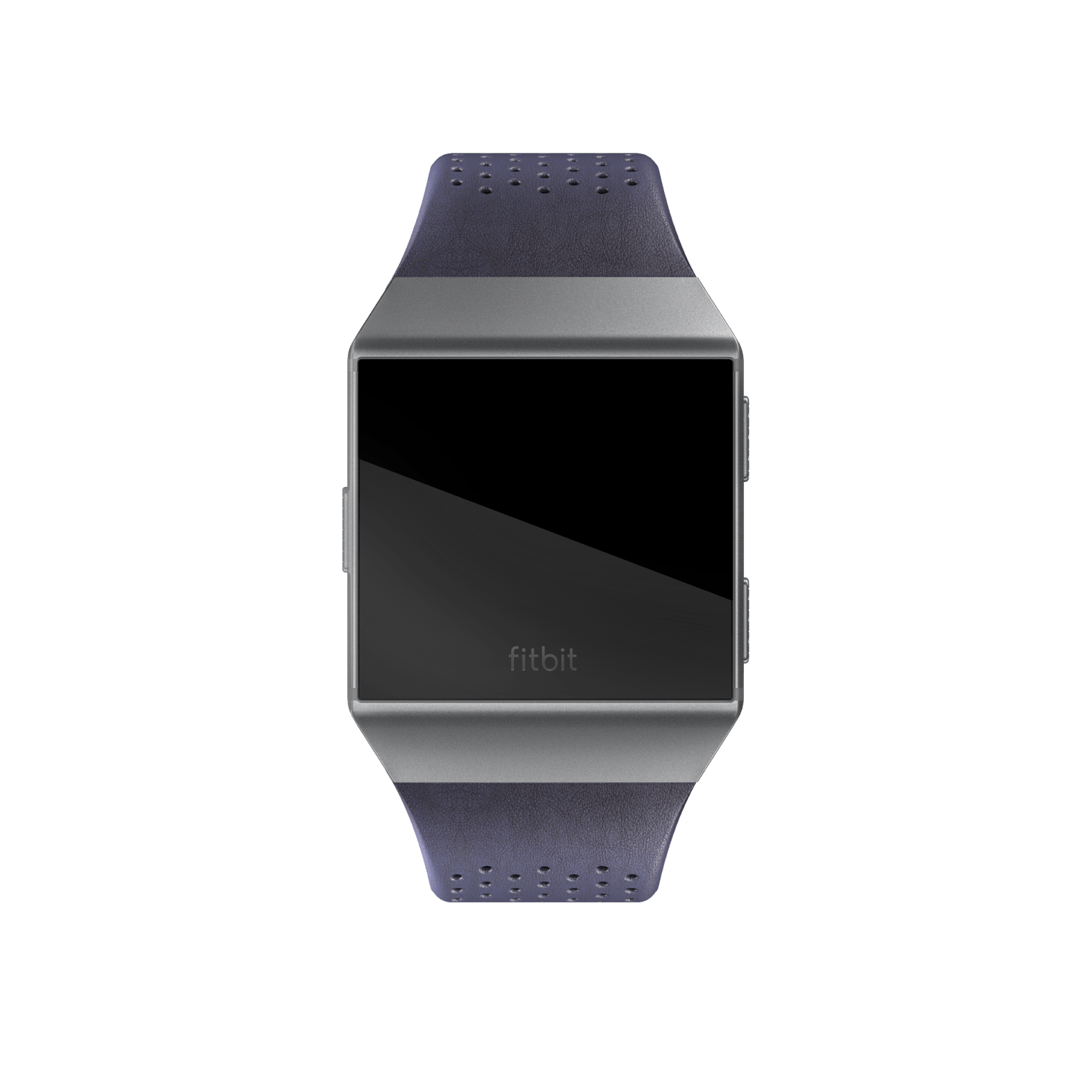 fitbit ionic sport band large