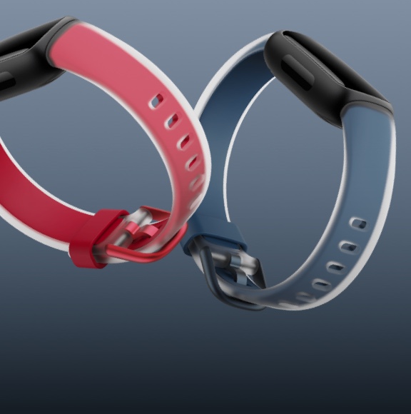 Bracelet interchangeable Fitbit pour montre connectée CHARGE 2 - Fitshop